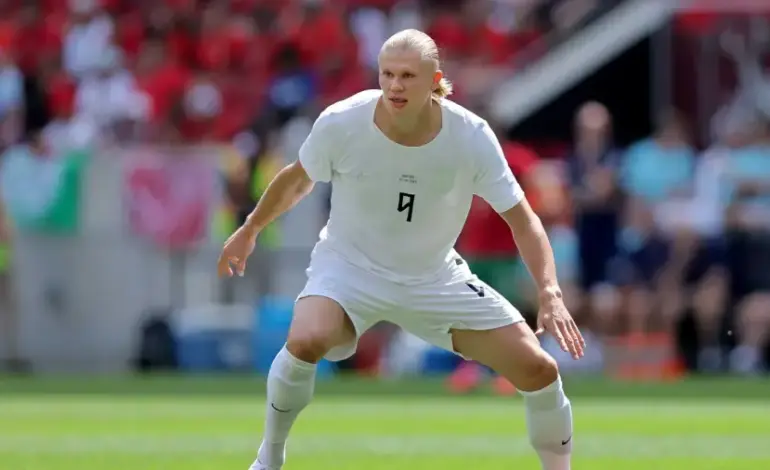 Erling Haaland Exits the World Cup in Style With a Bizarre Taxidermy Souvenir
