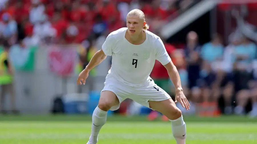 Erling Haaland Exits the World Cup in Style With a Bizarre Taxidermy Souvenir